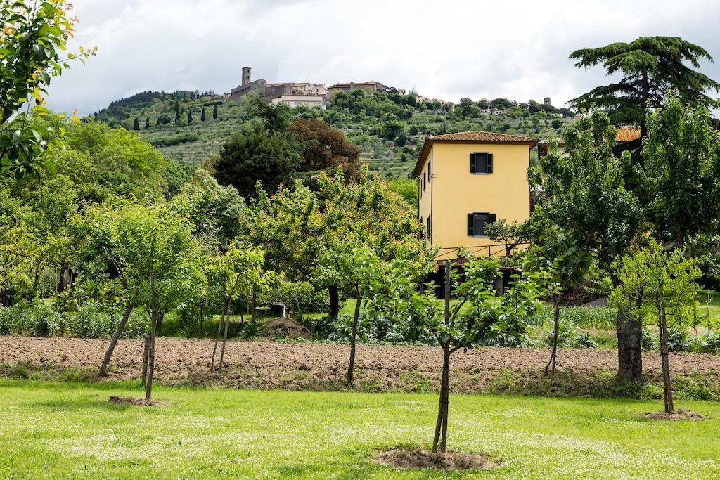 Casale Vacanze Il Granaio Cortona Bagian luar foto